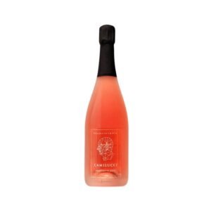 Camilucci Franciacorta Rosé vynas